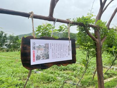 化龙堰镇上湾村：“清廉颜值”擦亮乡村振兴底色