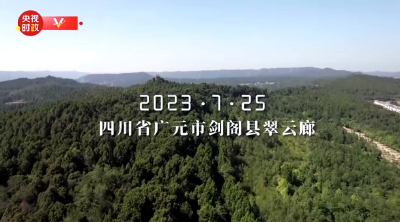 时政微纪录丨赓续历史文脉 谱写当代华章——习近平总书记川陕之行的文明印记