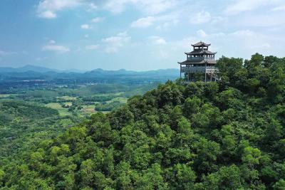 牢记嘱托 峒山蝶变