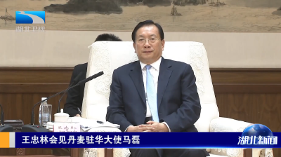 王忠林会见丹麦驻华大使马磊