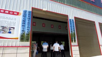 房县东园生态中药材有限公司揭牌运营