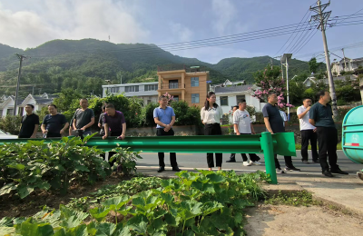 姚坪乡：召开人居环境整治暨“十堆十乱”专项整治现场会