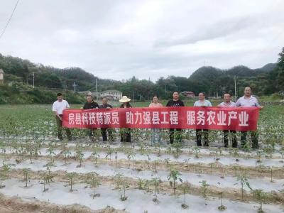 野人谷镇：开展蔬菜种植培训 打造群众放心“菜篮子”