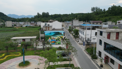 白鹤镇：墙画绘出乡风文明 艺术赋能乡村振兴