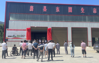 房县：培育中药材市场主体成效明显