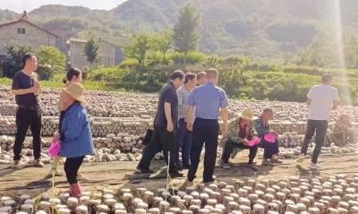 土城镇：三措并举助推法治建设高质量发展