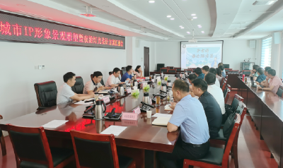 谢晓鸣主持召开城市IP形象设计专题会