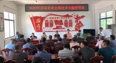 房县召开辣椒新品种展示示范现场观摩会