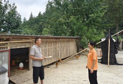 土城镇：进村入户研畜禽 土城畜牧稳步行