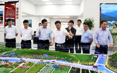 谢晓鸣在调研重点项目和乡村振兴时强调：持续壮大工业实力 深入推进乡村振兴
