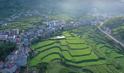 县民政局： 下好“三步棋” 扎实推进完整社区建设试点工作