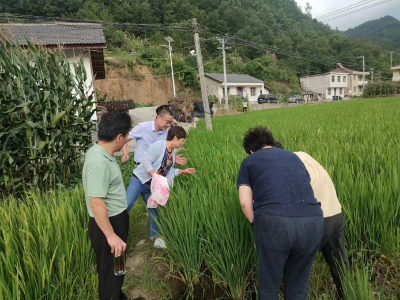中坝乡：走访接地气 入户暖人心