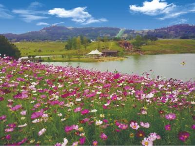 @房县人，今天向大家介绍一位新朋友