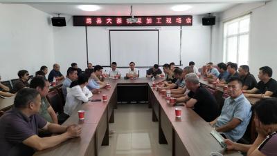   夏季大茶机采加工工作拉开帷幕