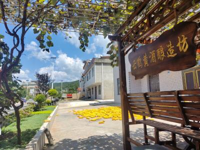 白鹤镇：庭院“方寸地”  缔造“致富花”