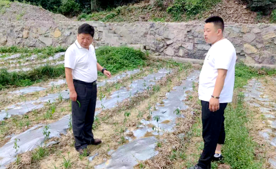 【走进乡村看振兴】五台乡：共同缔造富民产业 助推乡村振兴