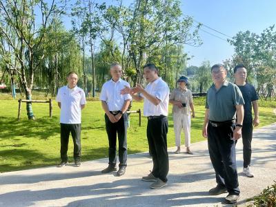 县人大常委会视察西安大道绿化提升项目推进情况