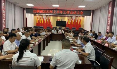白鹤镇召开2023年上半年工作总结大会