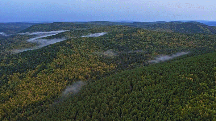 开启降雨降温模式 湖北大部地区最高气温将降至“2”字头
