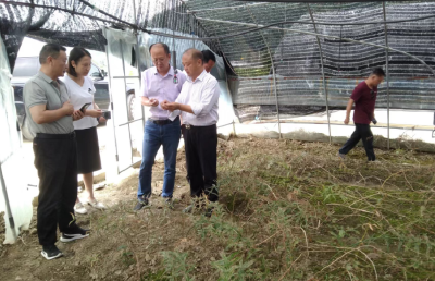 省农业农村厅来房开展省道地药园绩效考评