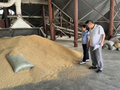 县市场监管局：开展粮食购销领域“双随机、一公开”检查