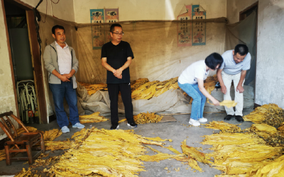 【走进乡村看振兴】县公检中心：乡村振兴在行动 “户户走到”全覆盖