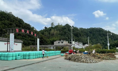 窑淮镇：“秸”尽所能 变废为宝