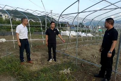 县发改局开展“支部连支部”主题党日活动