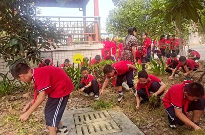 房县东城小学教联体：师生齐动手 校园靓又美