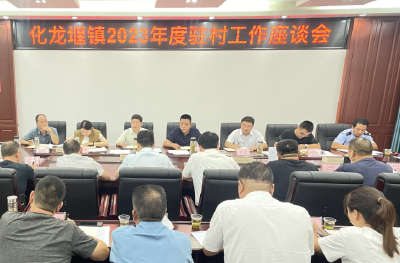化龙堰镇：座谈提振精气神 同心同向促振兴