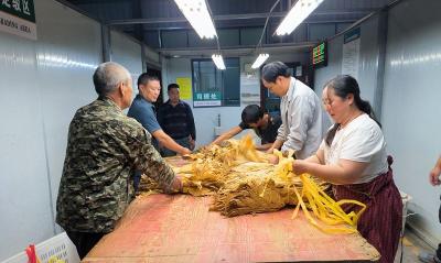 九道乡：开辟“绿色通道”守护烟农利益