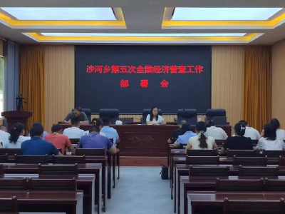 沙河乡：全力推进第五次全国经济普查工作