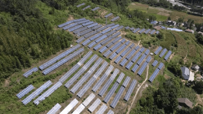 房县：积蓄发展新动能 项目建设跑出“加速度”