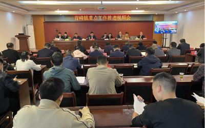 青峰镇召开重点工作推进视频会