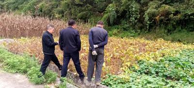 野人谷镇：玉米大豆双丰收  农民荷包鼓囊囊