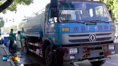 县住建局：开展城区行道树“涂白”工作