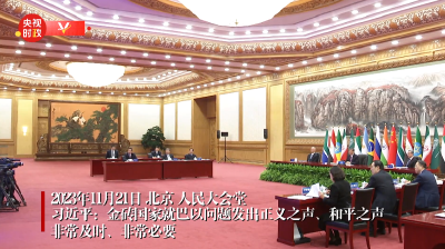 独家视频丨习近平：金砖国家就巴以问题发出正义之声、和平之声 非常及时、非常必要