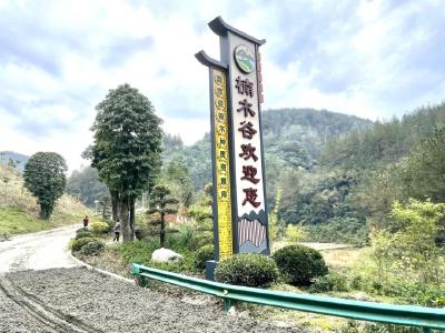 生态红利惠民生！“这里是湖北·This is Hubei”对外传播活动荆楚行走进竹溪