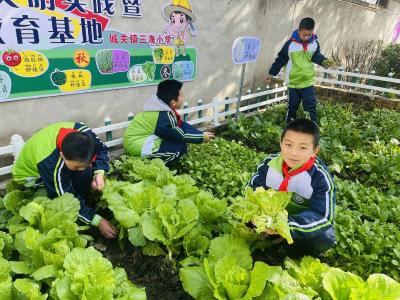 城关镇：“三个课堂”培育爱劳动会劳动的好少年