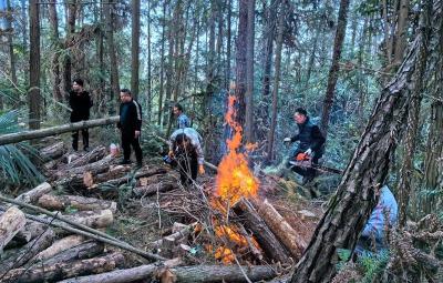 回龙乡红旗村：防治松材线虫 打好“森林保卫战”