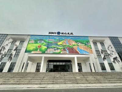 网红农民画家现身房县作画 巨幅墙绘点“靓”交旅融合