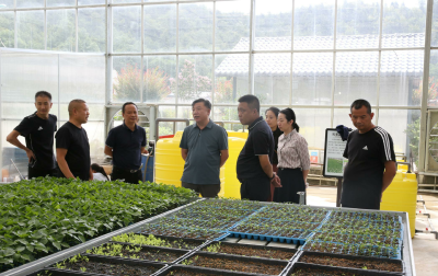 “监督之问”促落实 “以点带面”系民生-----房县人大常委会开展代表议案建议办理专题询问