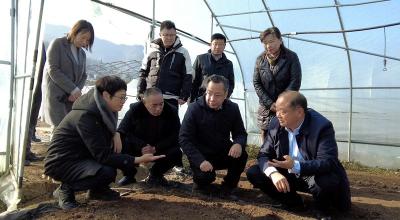 朱云慧一行来房调研生物医药健康产业