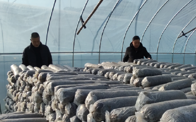 房县供销社开展今冬明春安全生产隐患排查整治工作