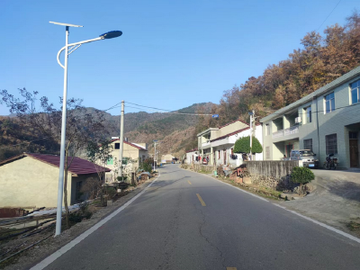 青峰鎮花園村:22盞路燈點亮村民幸福生活