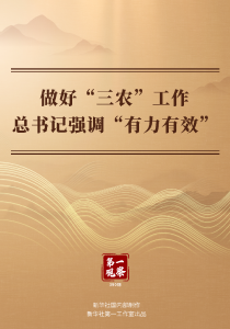 第一观察｜做好“三农”工作 总书记强调“有力有效”