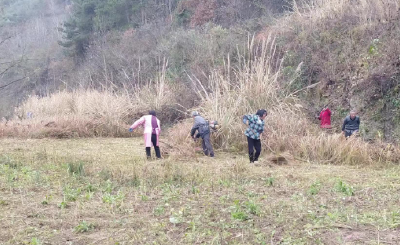 青峰镇：扛牢耕地保护政治责任  全力推进耕地流失整改工作