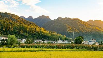 百村安居图 | 房县城关镇三海村：黄酒悠韵醉村庄