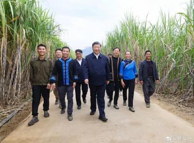 习近平在广西来宾市考察调研