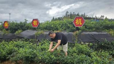 从恩施走向迪拜！90后海归回乡将妈妈打造成网红！